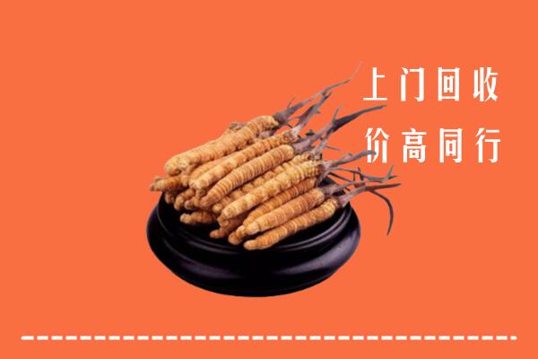 高价求购：阳江市回收散虫草