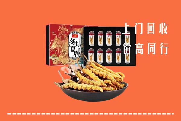 阳江市回收虫草
